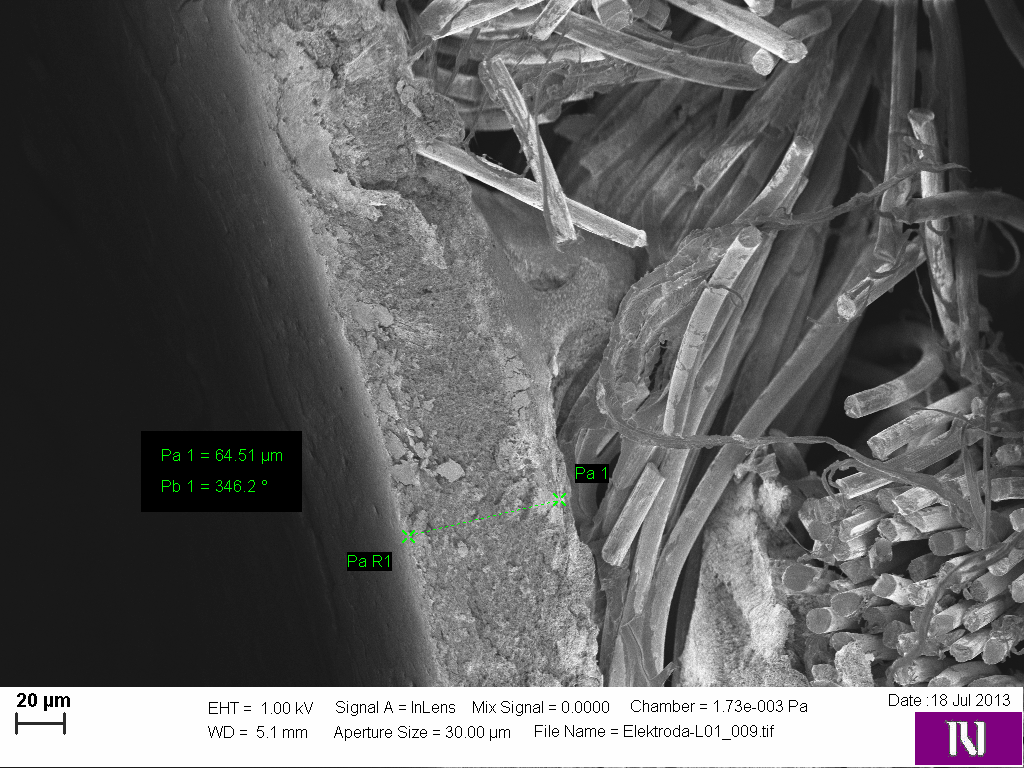 Cross-section view of the upper layer